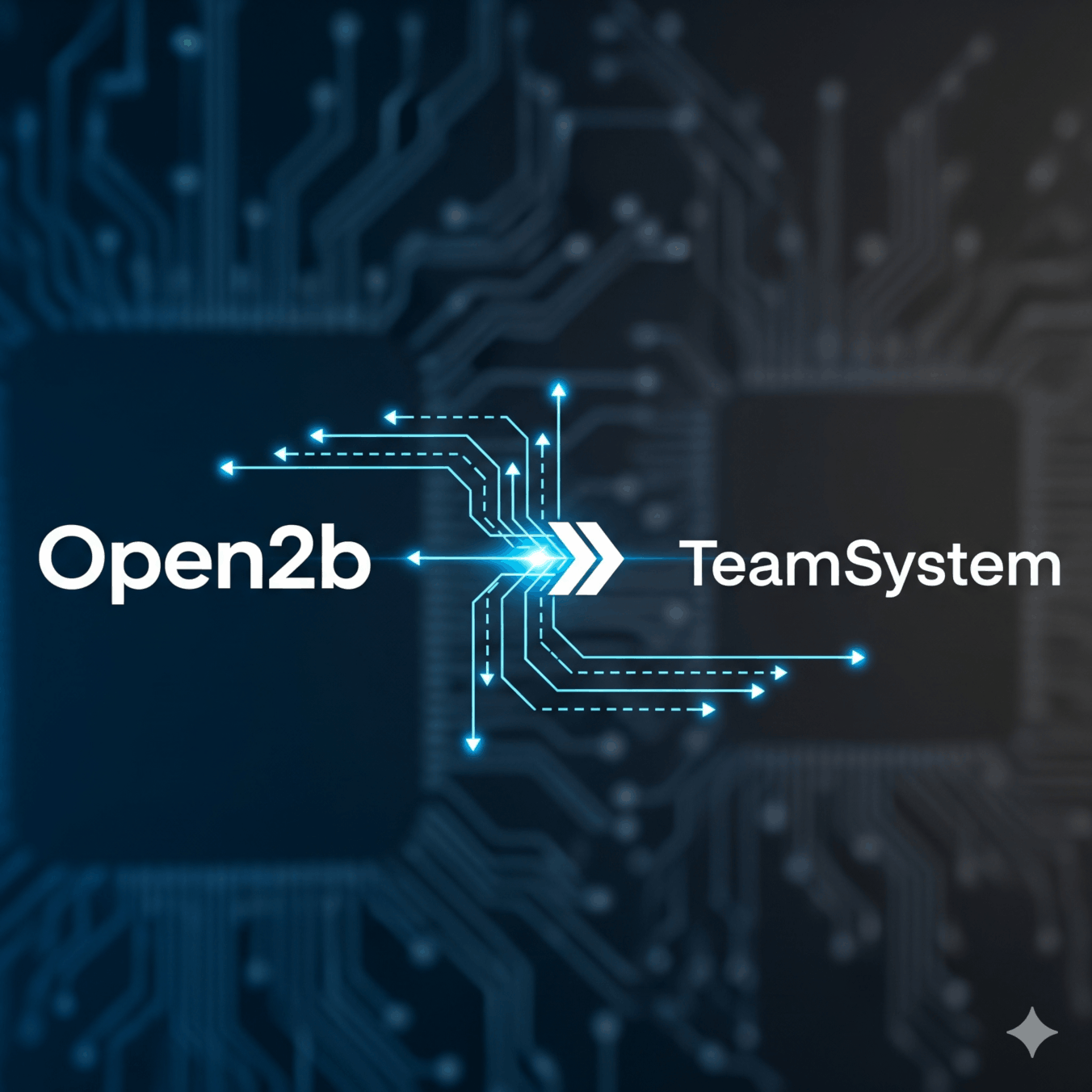 ecommerce con Team System